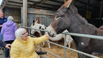 Tranent care home Residents enjoy Donkey Sanctuary visit